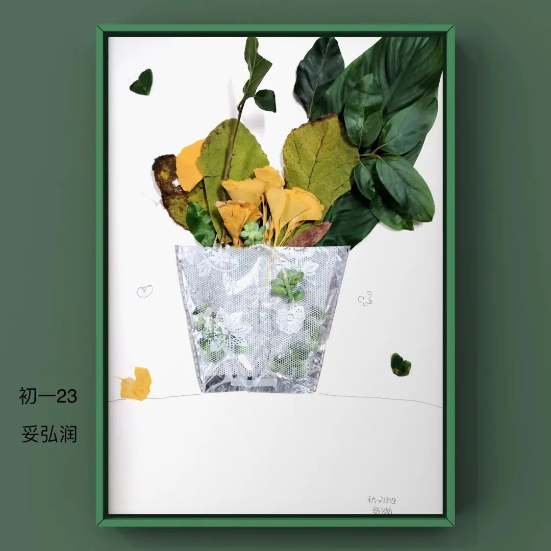 盘龙教育(微信)