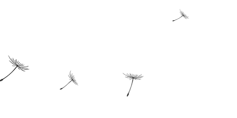 昆明动物园