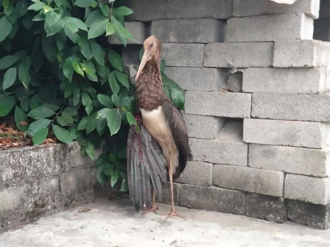云南政法