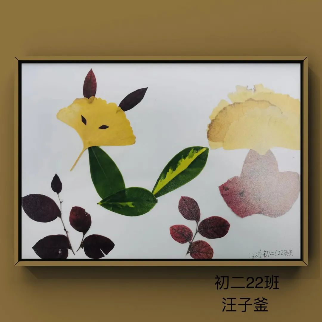 盘龙教育(微信)