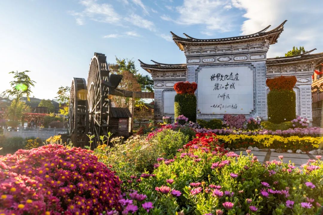 微丽江