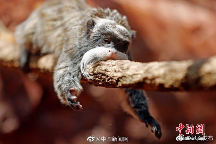 呈贡发布