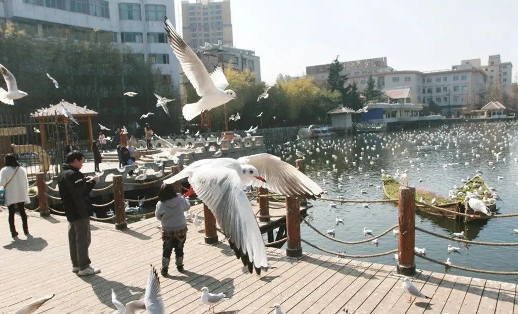 文旅云南