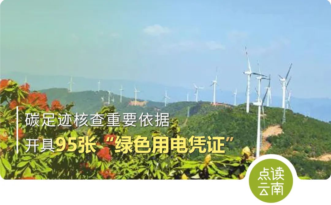 云南省人民政府网