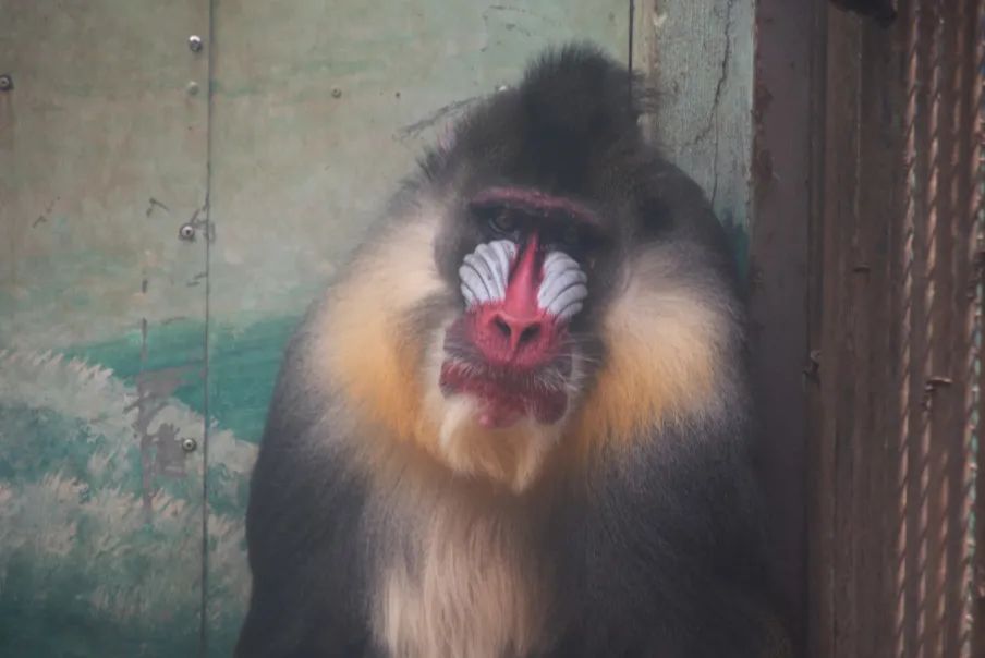 昆明动物园