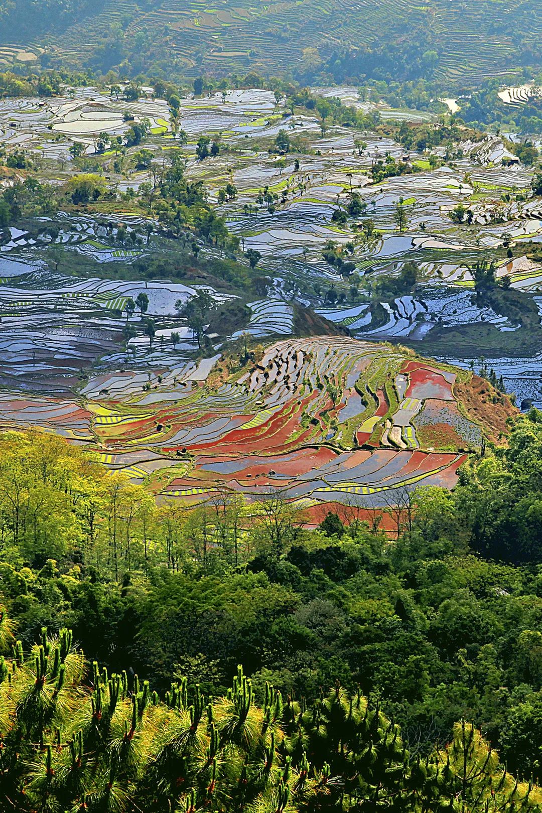 红河文旅