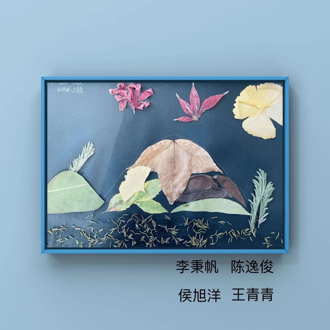 盘龙教育(微信)