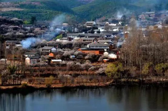 丽江日报