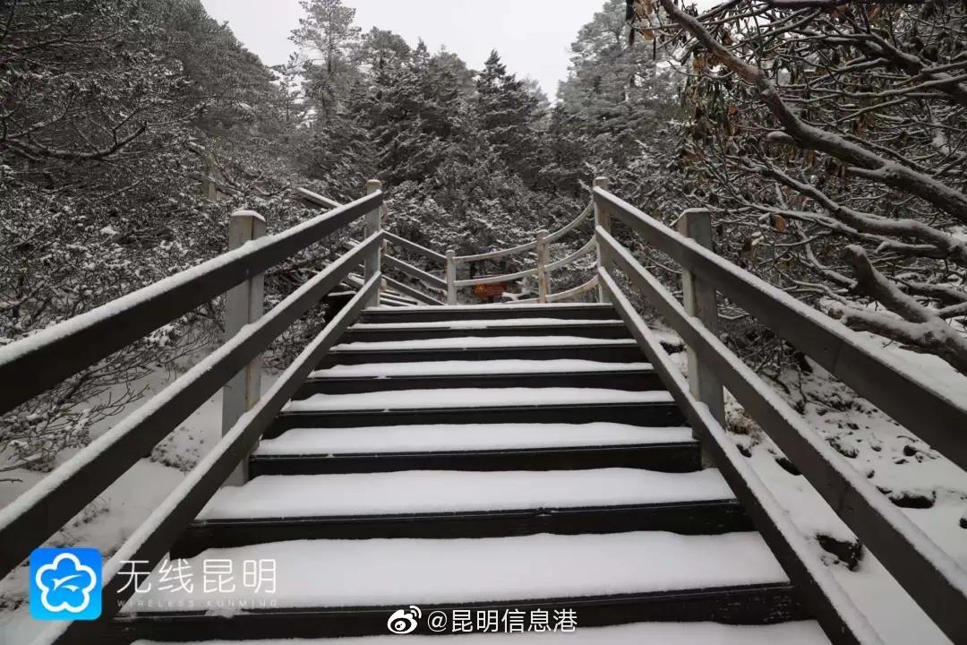 昆明信息港