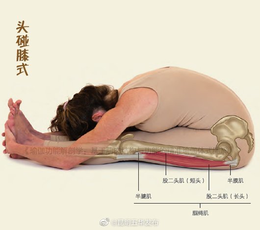 “昆明五华发布”微博