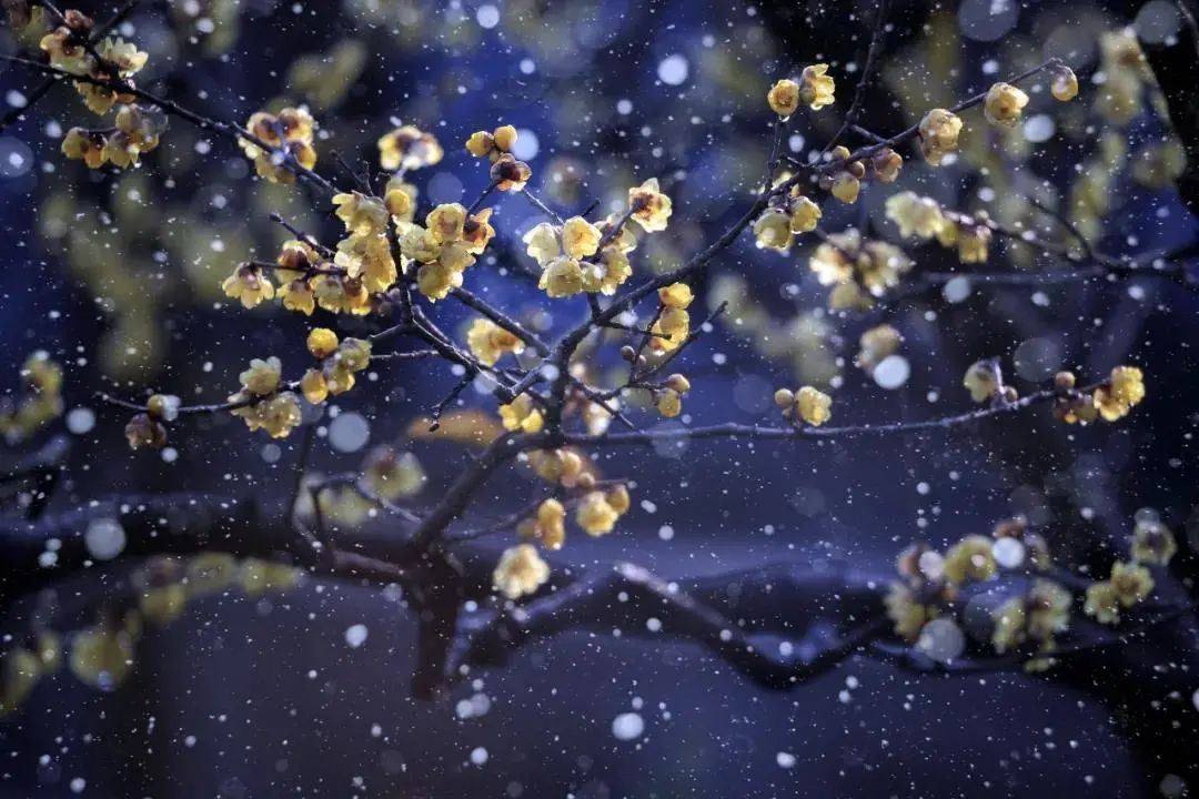 保山广播电视台