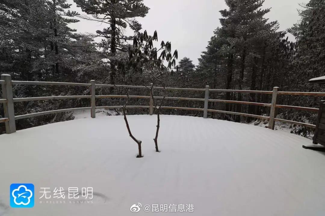 昆明信息港