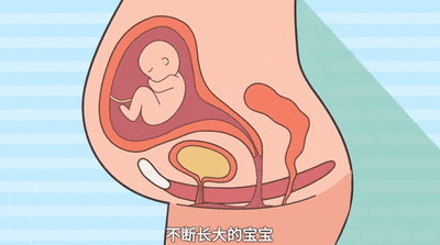 昆明市妇幼保健院
