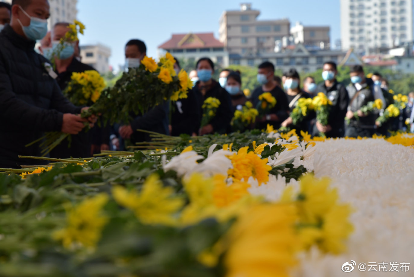 “云南发布”微博