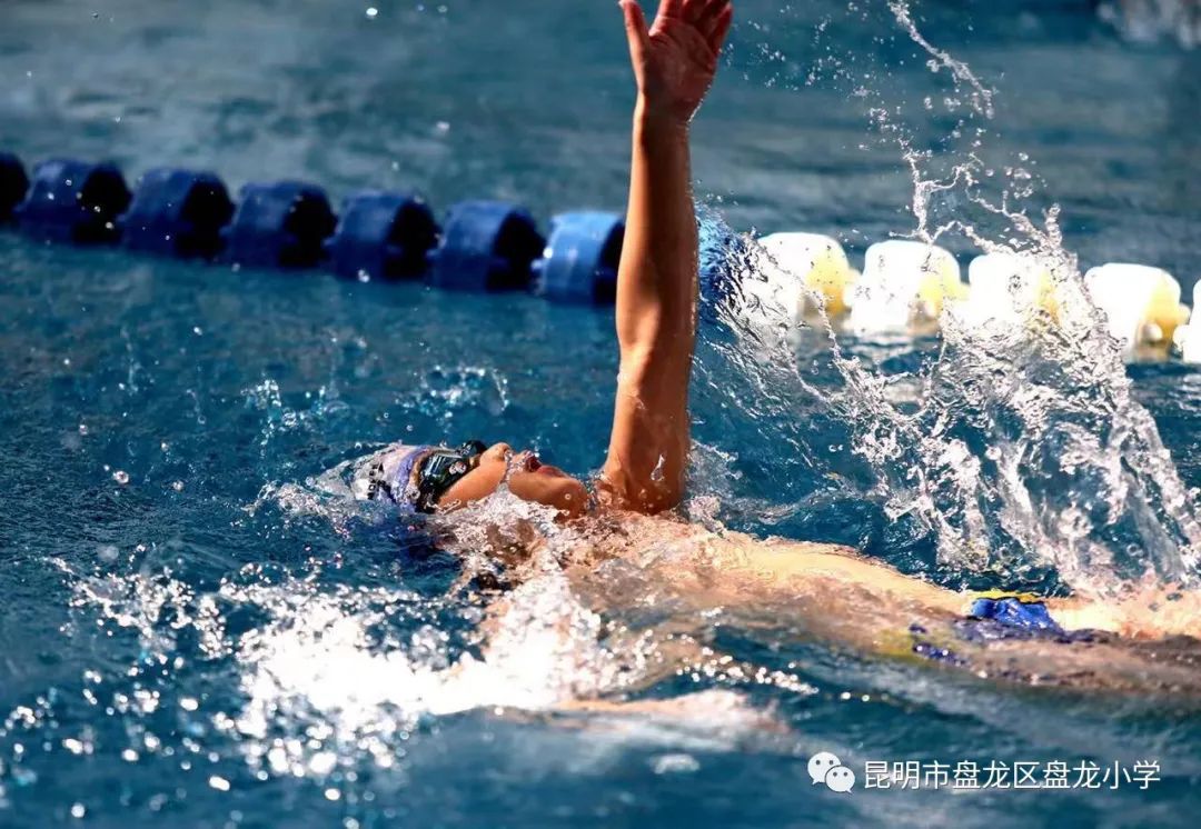 盘龙教育(微信)