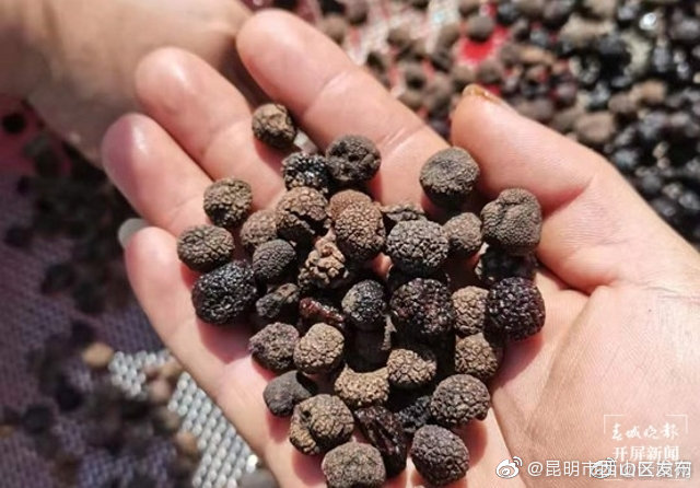 “昆明市西山区发布”微博