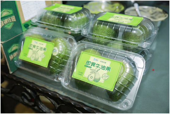 云南信息报