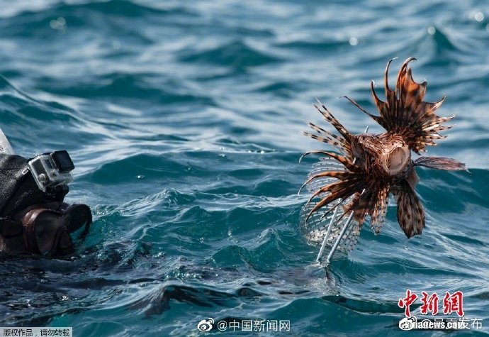 呈贡发布