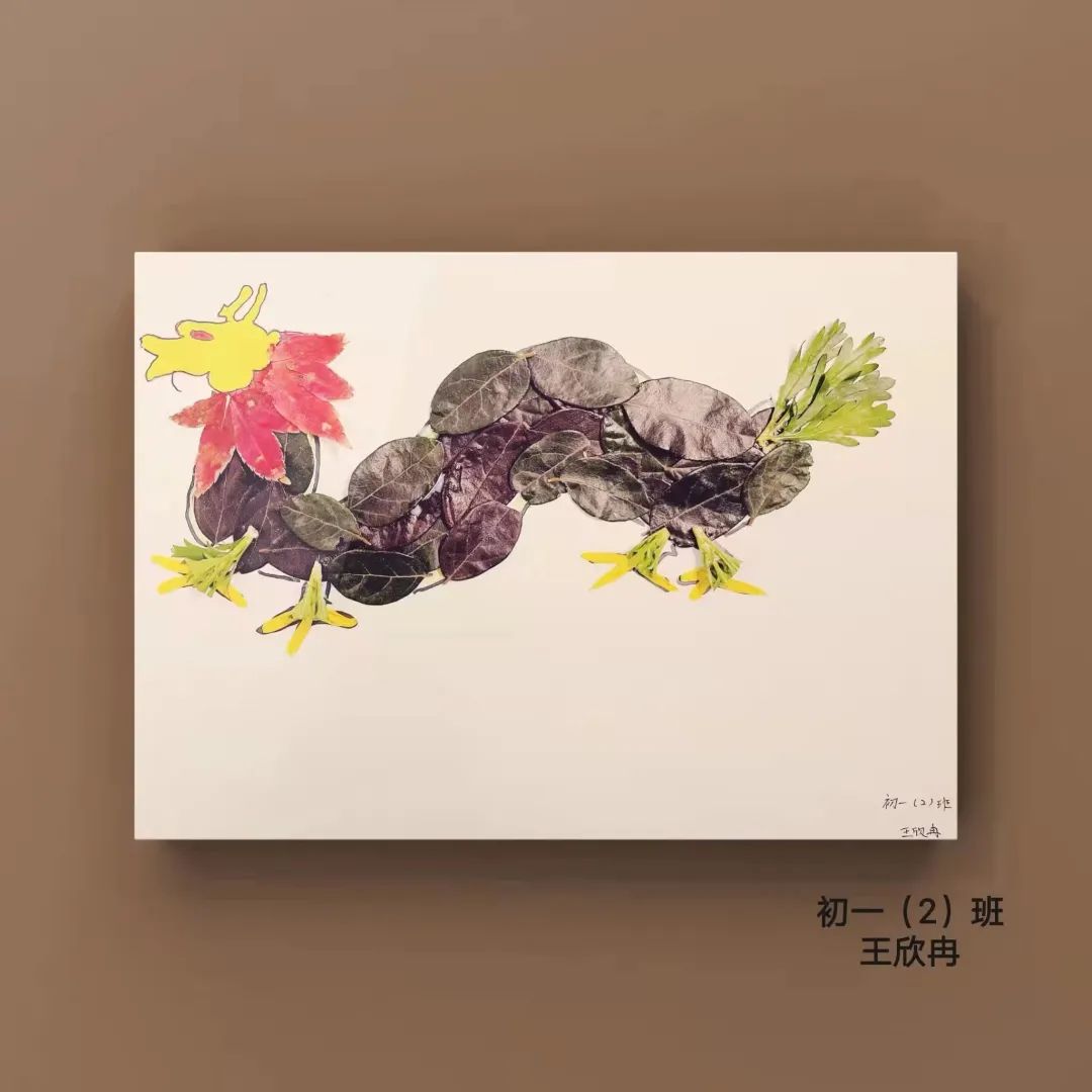 盘龙教育(微信)