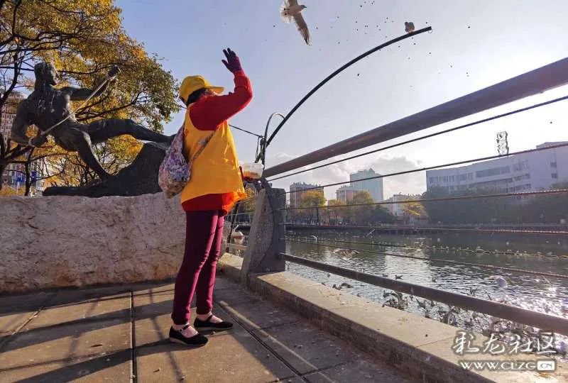 昆明信息港/cnkmxxg