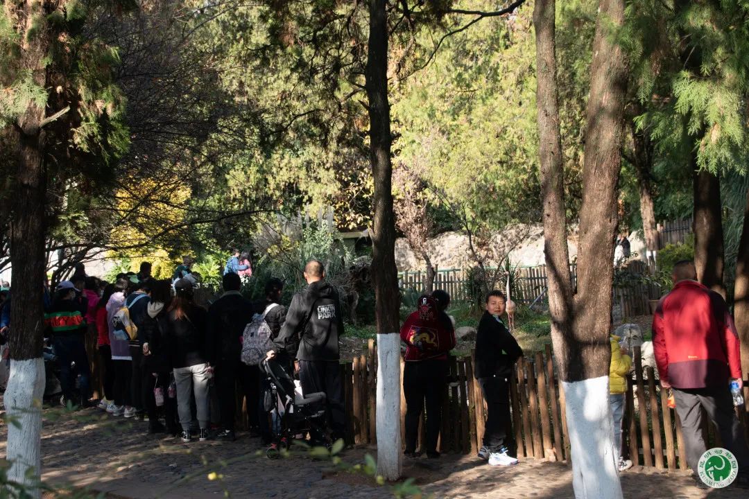 昆明动物园