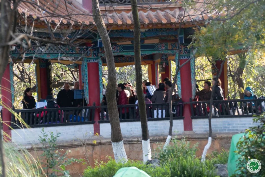 昆明动物园