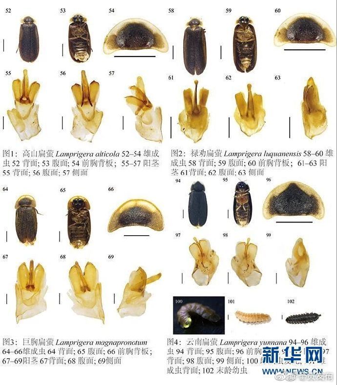 呈贡发布