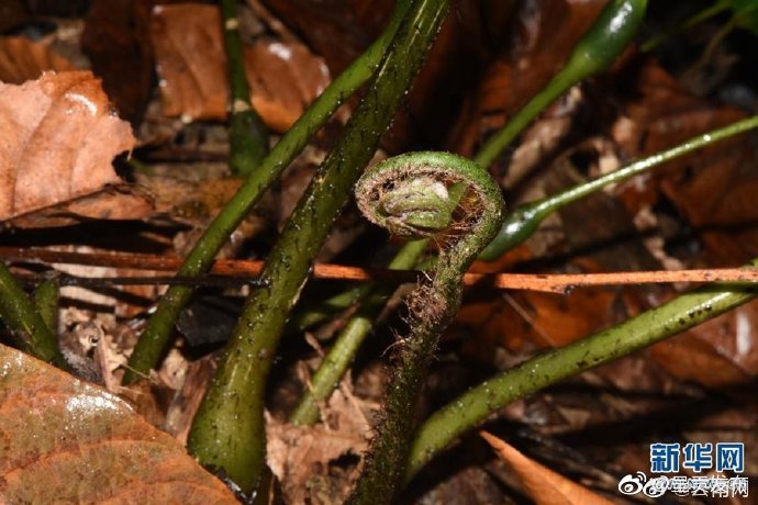 呈贡发布