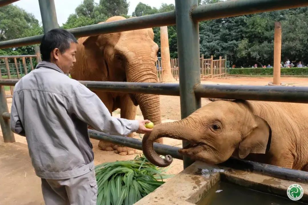 昆明动物园