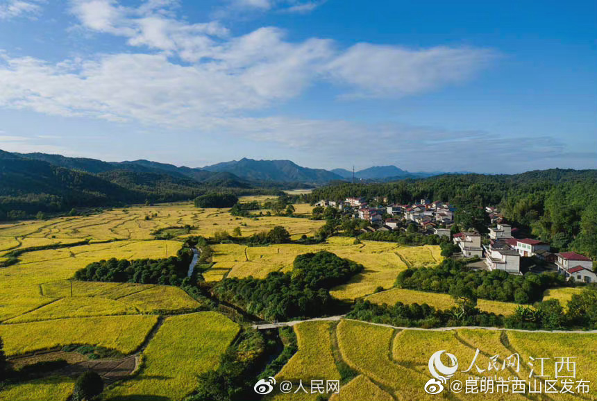 “昆明市西山区发布”微博