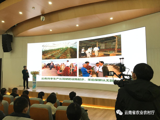 昆明市农业农村局