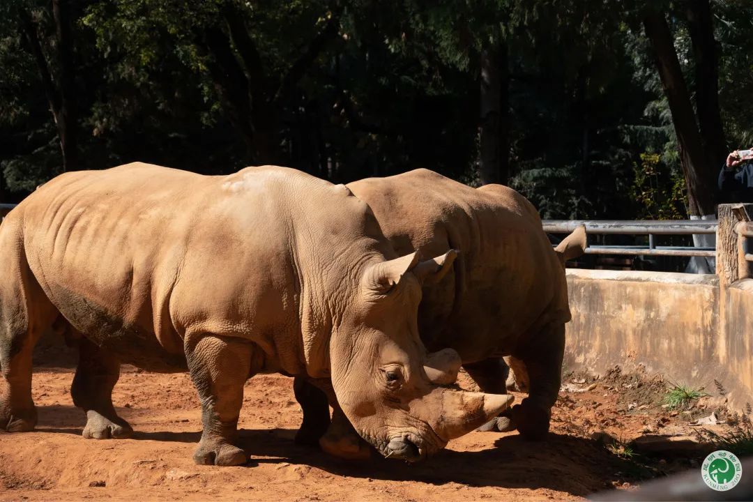 昆明动物园