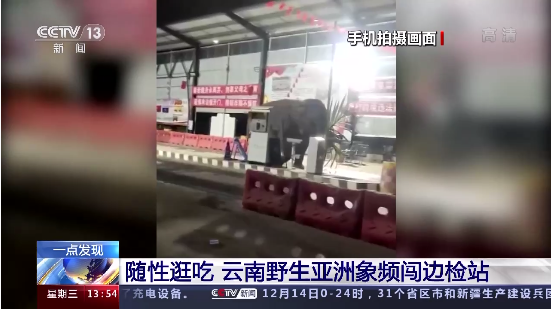 昆明信息港/cnkmxxg
