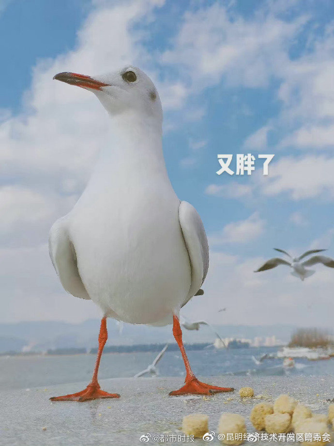 昆明经济技术开发区管委会
