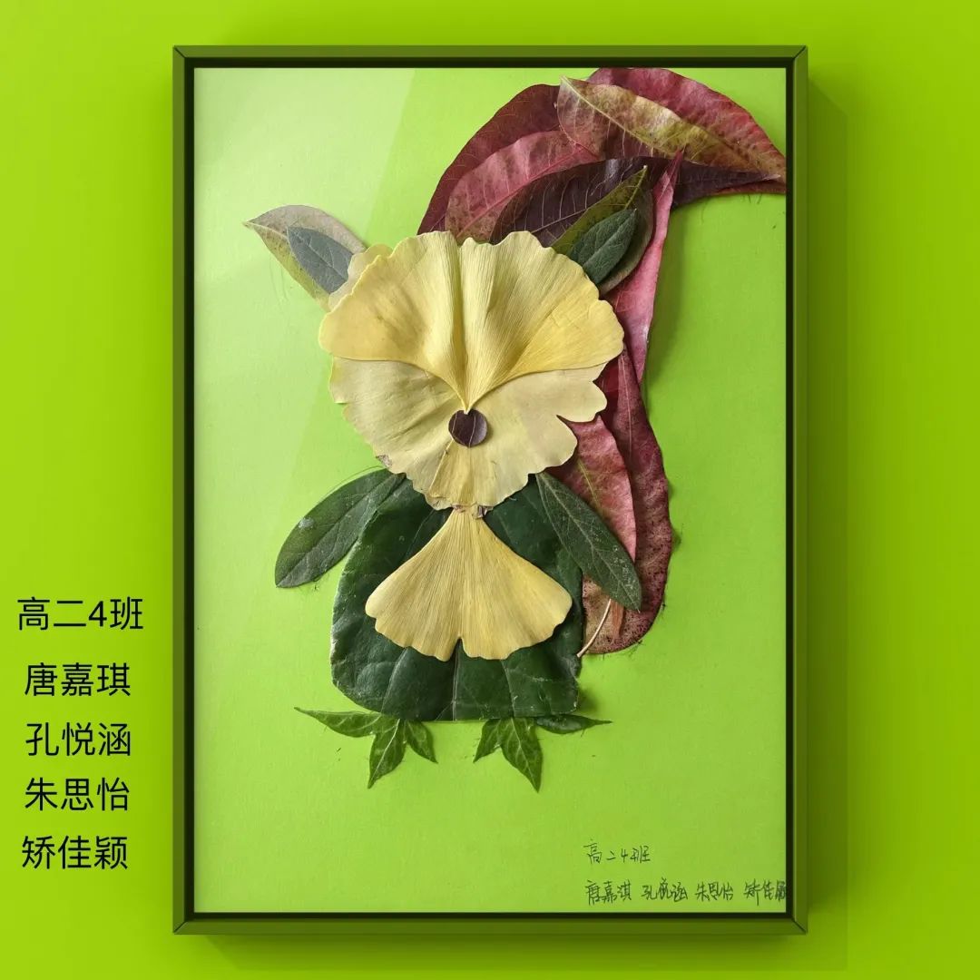 盘龙教育(微信)