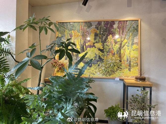 昆明信息港