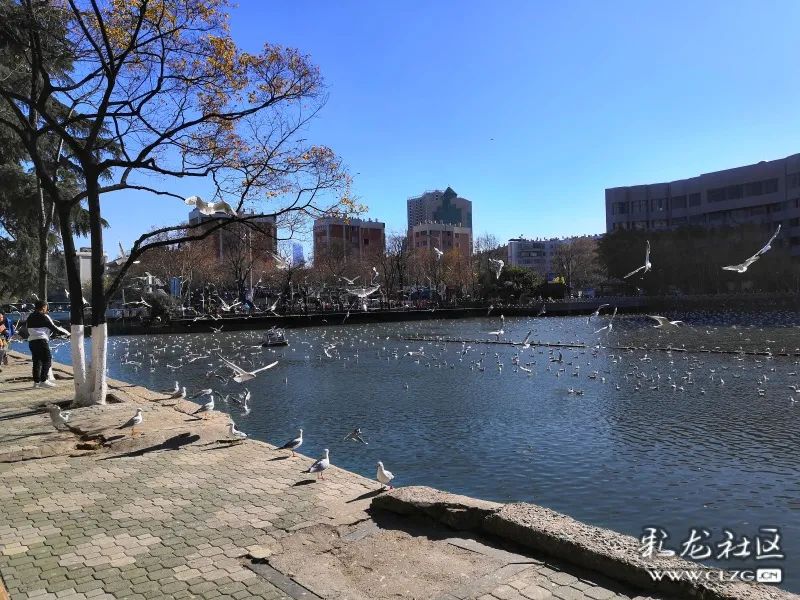 昆明信息港/cnkmxxg