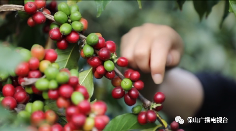 保山广播电视台