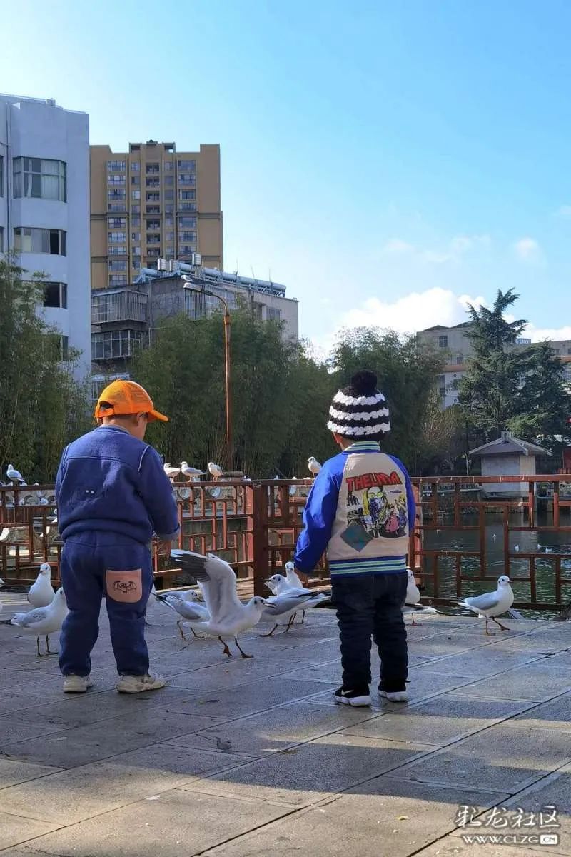 昆明信息港/cnkmxxg