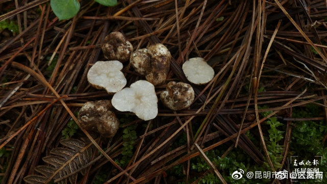 “昆明市西山区发布”微博