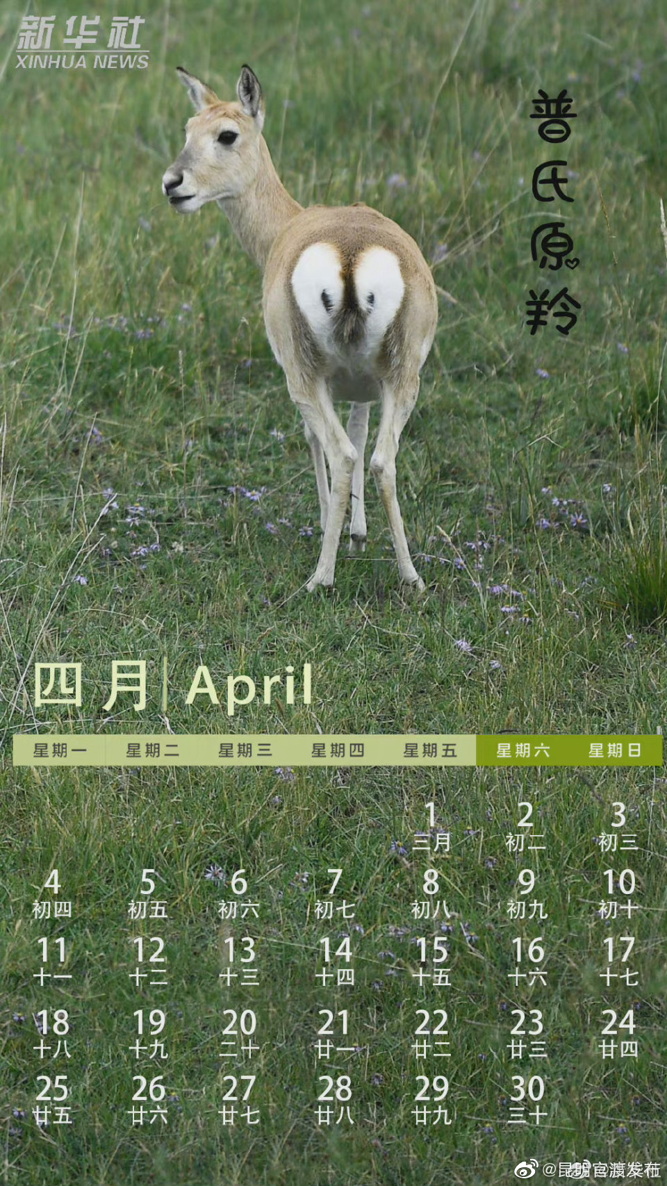 “昆明官渡发布”微博