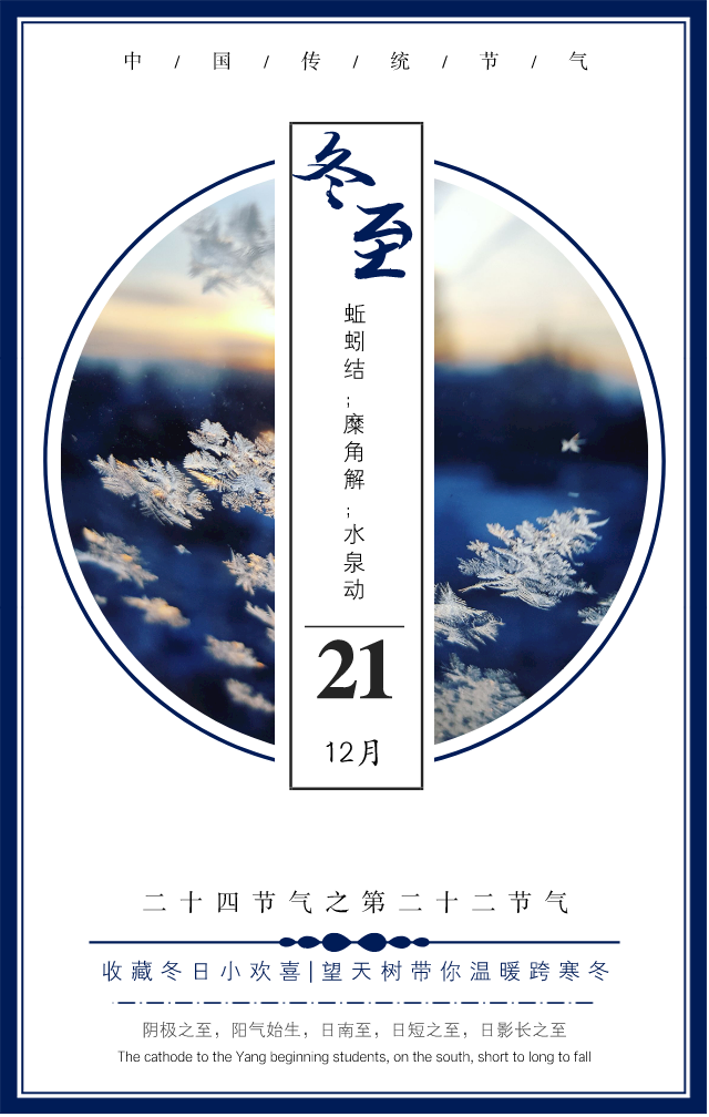西双版纳望天树景区