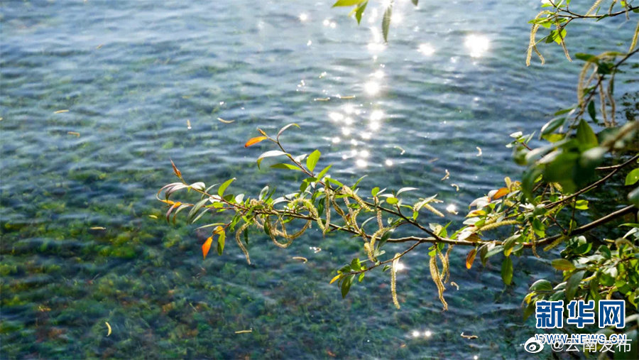 “云南发布”微博