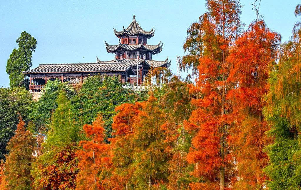 红河文旅