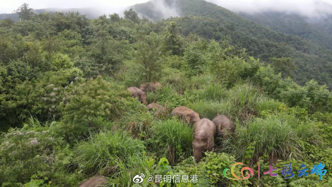 昆明信息港