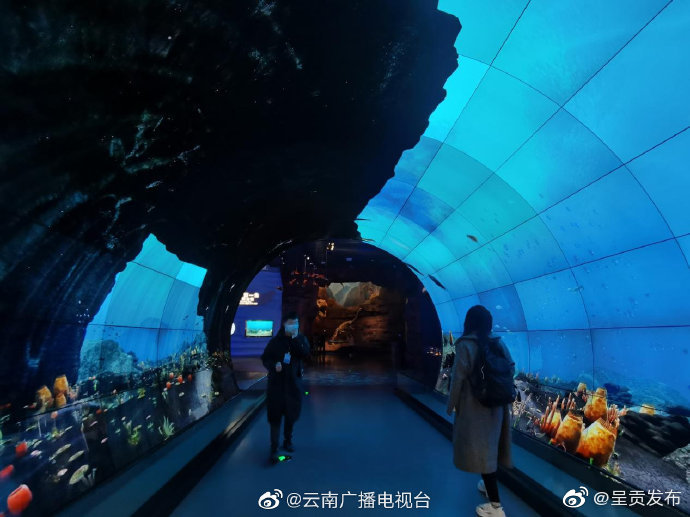 呈贡发布