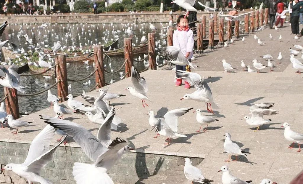 文旅云南