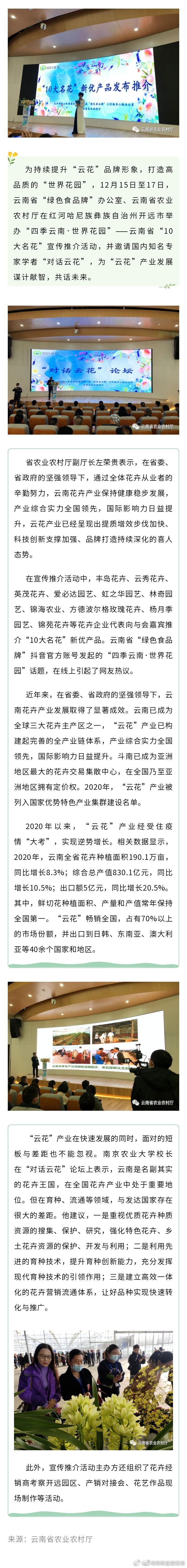 云南“10大名花”宣传推介活动在红河开远举办