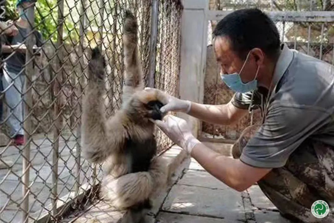 昆明动物园