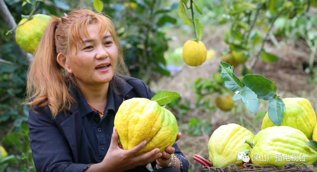 保山广播电视台